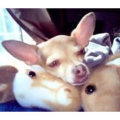 Lia Diaz's photo