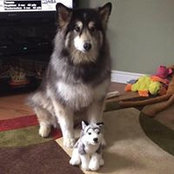 Jeff Bond's photo