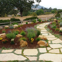 Front yard - Entry