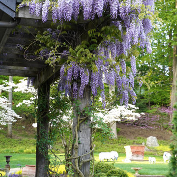 Informal European Garden