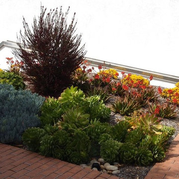 Saratoga HOA