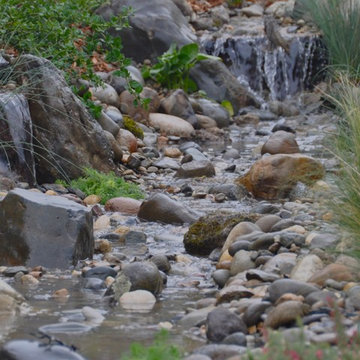 Pond and water feature repair