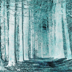 Blue Forest - Products