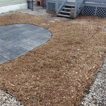 Regina's Dog-Friendly Yard