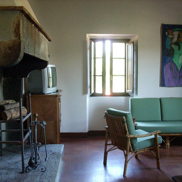 Living Room Fireplaces