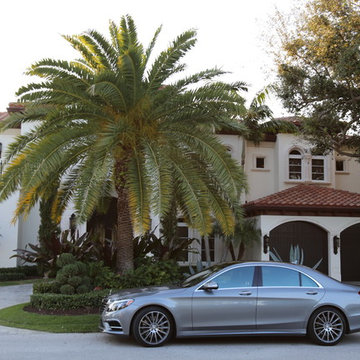 Royal Palm - Mediterranean Custom (2)