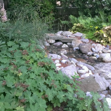 Rainwater Harvesting System & Planting