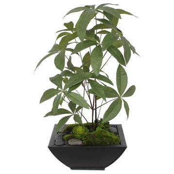 Artificial Chinese Money Tree with Succulents in Black Zinc Pot