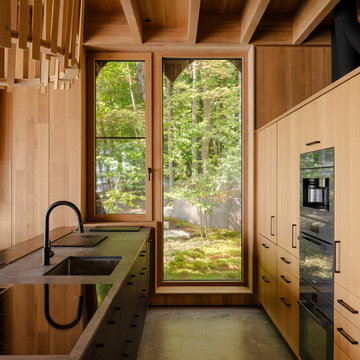 Tree House