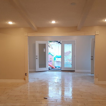 Living Room Renovation and Addition