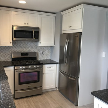 New Kitchen in Western Springs