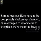 Tom Vecchio's photo