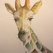 Yang Liu's photo