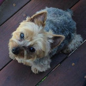 Joanne Gross's photo
