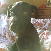 Michelle Halliday's photo