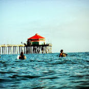 Steve Shea's photo
