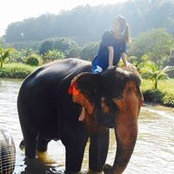 Lucy Sun's photo