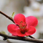 Stephanie V's photo