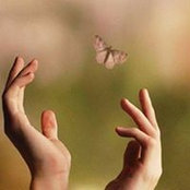 Photo de Rosha Mousa