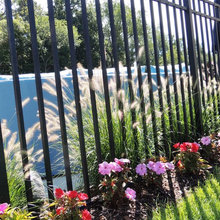 fence/garden