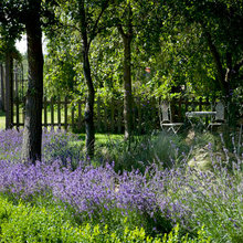 Landscaping  - Herb garden