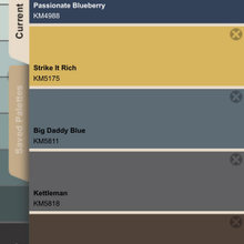 Color Palettes