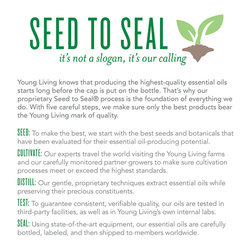 Essential Oil - Products