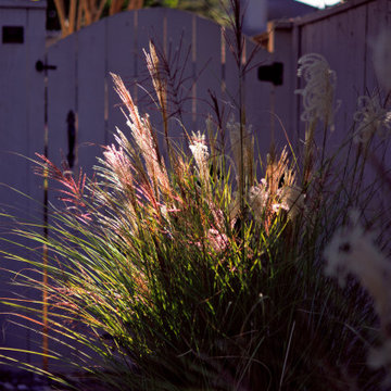 Front Yard Inspiration: Low Maintenance Design Ideas