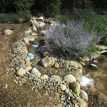 Water Feature - Pond