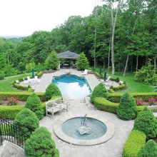 Bluegrass backyard