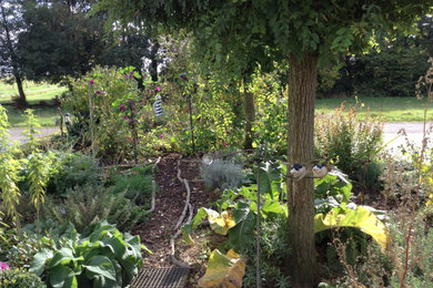 Feng Shui Garten im Sommer