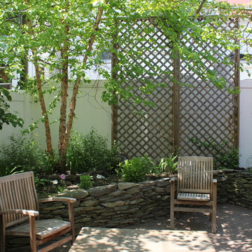 A Brooklyn Yard