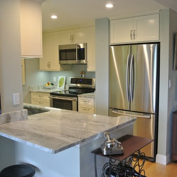 Chelsea Transitional Kitchen