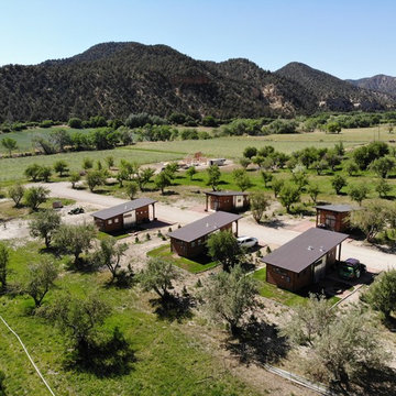 Apple Orchard