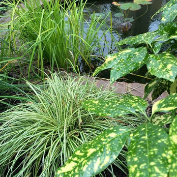 Pool garden