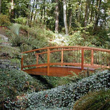 Curved Bridge