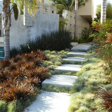 Landscape Plants