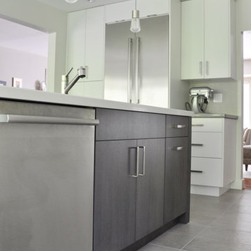 Monochromatic Shades - Kitchen Renovation