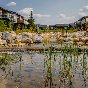 The Pines Energy Star Bungalow Townhomes In Evergreen