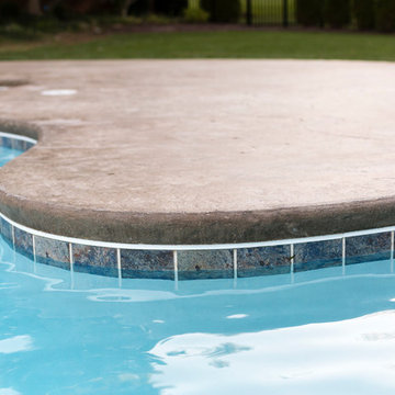 freeform beach entry with lap lane gunite pool