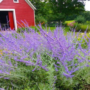 New England Farmhouse Gardens