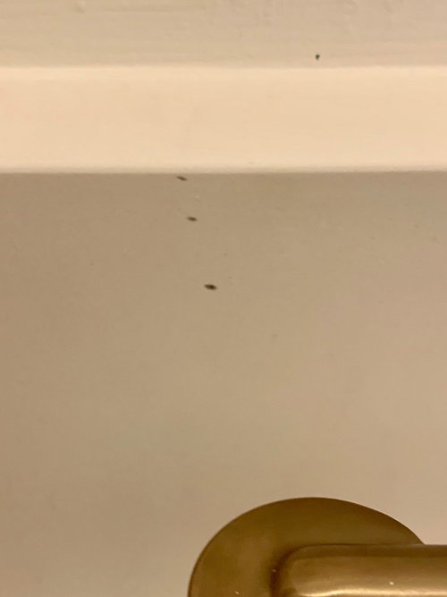 Marks on White Quartz