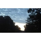 Lynn Swain's photo