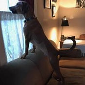 Claire Rand's photo
