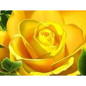 Olivia Turingan's photo