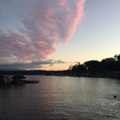 Anna Stoll's photo