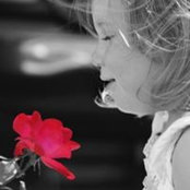 Amanda Calvert's photo
