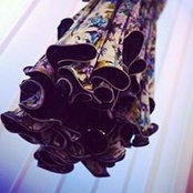 Laura Haffty's photo