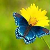 Tiffany Murray's photo