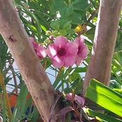 Foto de Deb Moore
